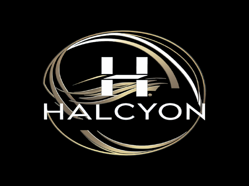 Halcyon logo design by salim