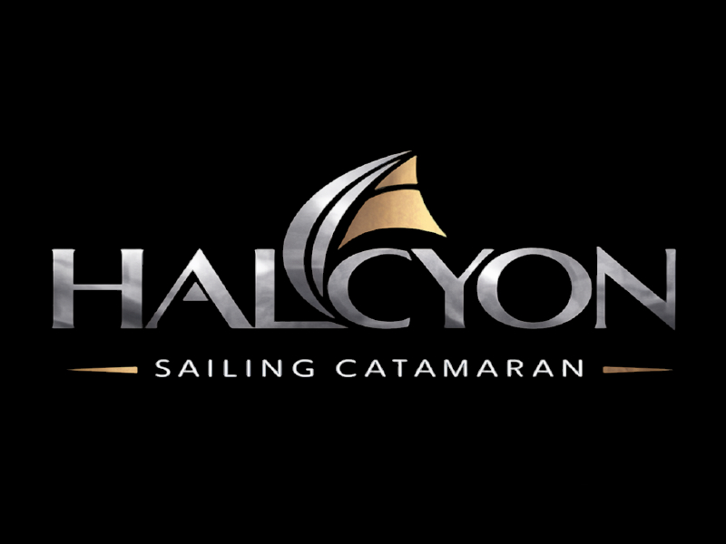 Halcyon logo design by salim