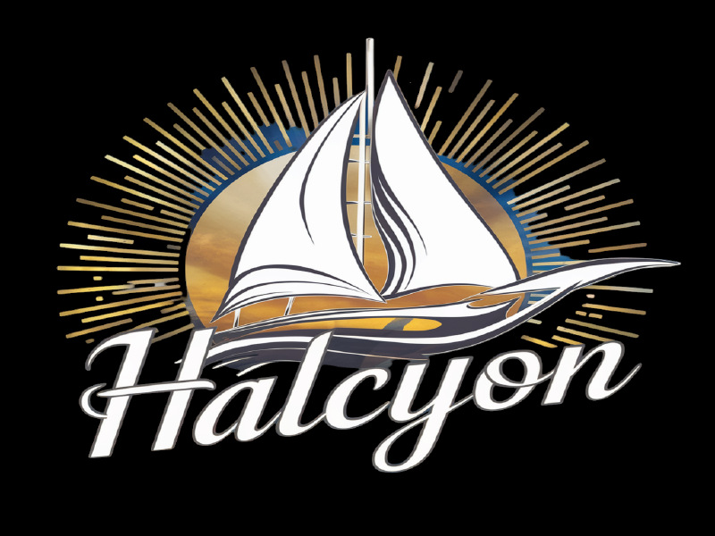 Halcyon logo design by salim