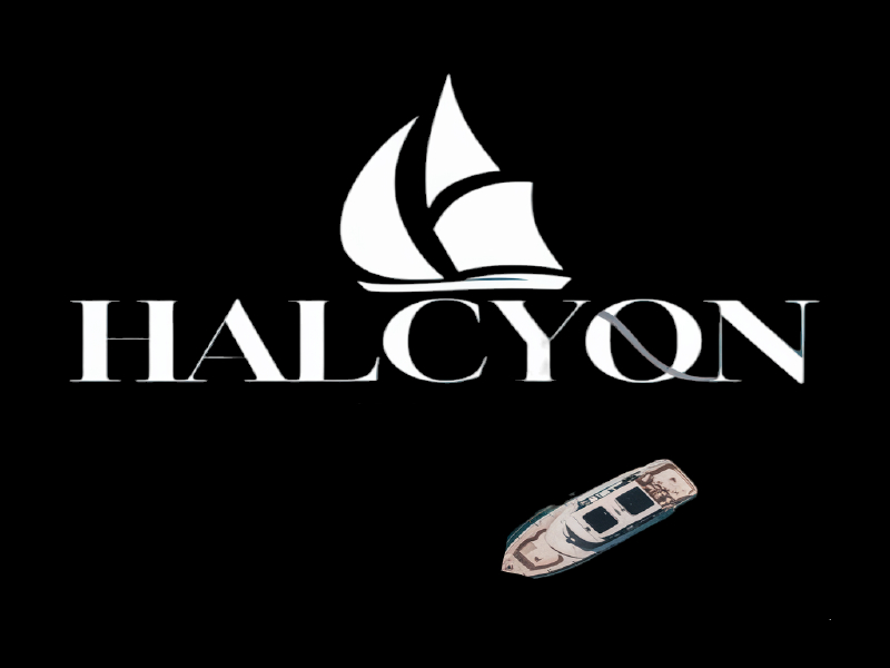 Halcyon logo design by salim