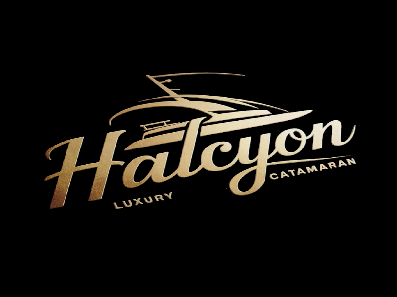 Halcyon logo design by salim