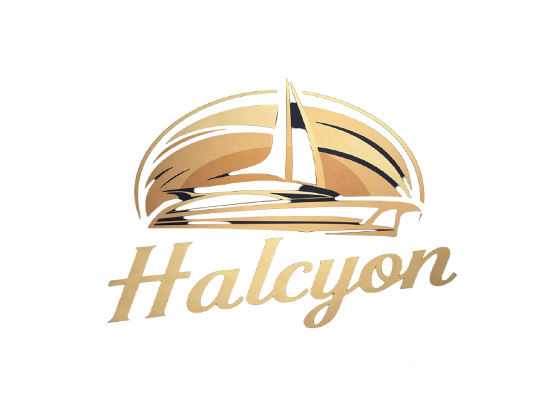 Halcyon logo design by salim