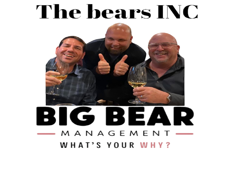 The bears INC logo design by salim