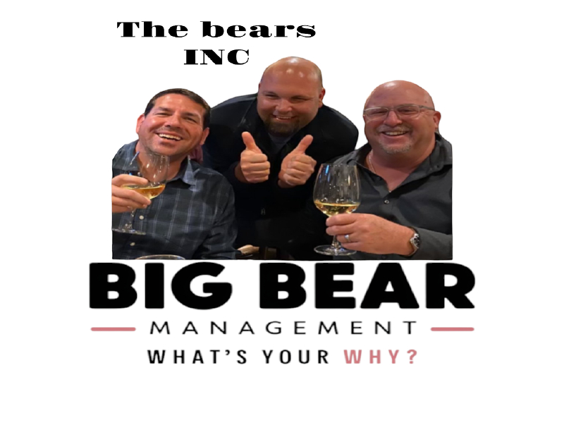 The bears INC logo design by salim