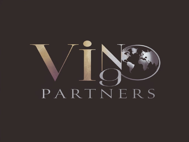 Vin Go Partners logo design by salim