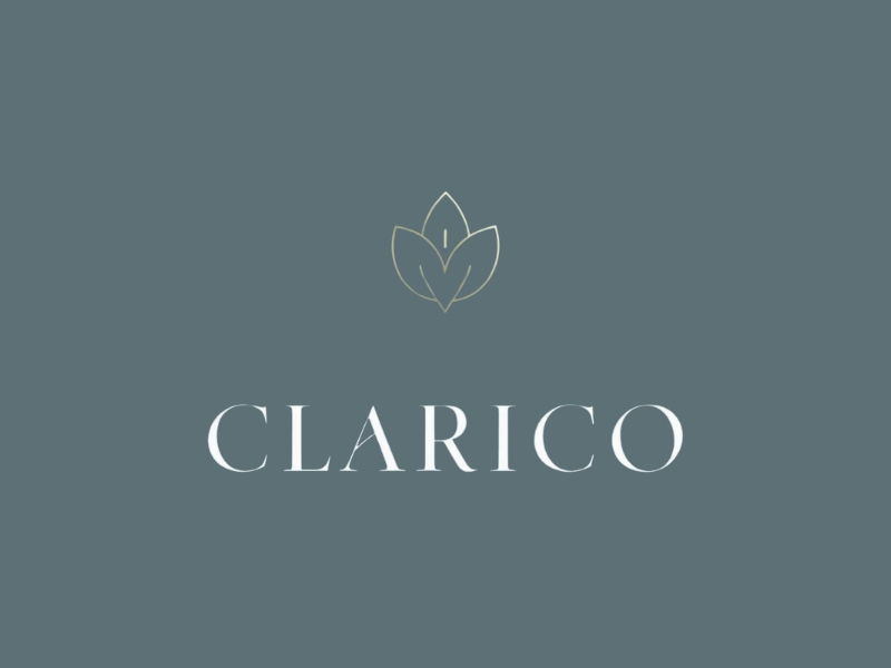 CLARICO CANCER CARE logo design by iffikhan