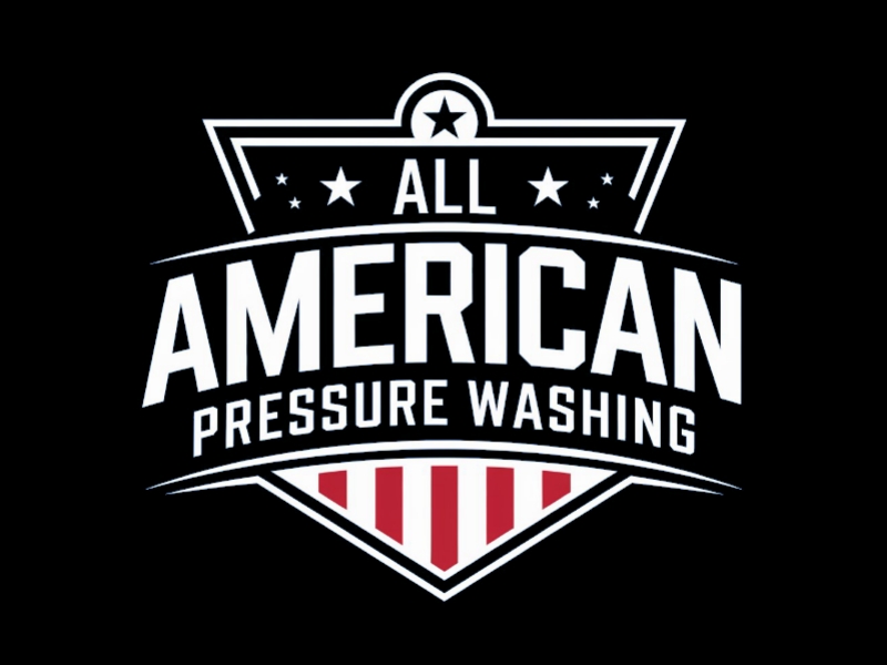 All American Pressure Washing logo design by Charii