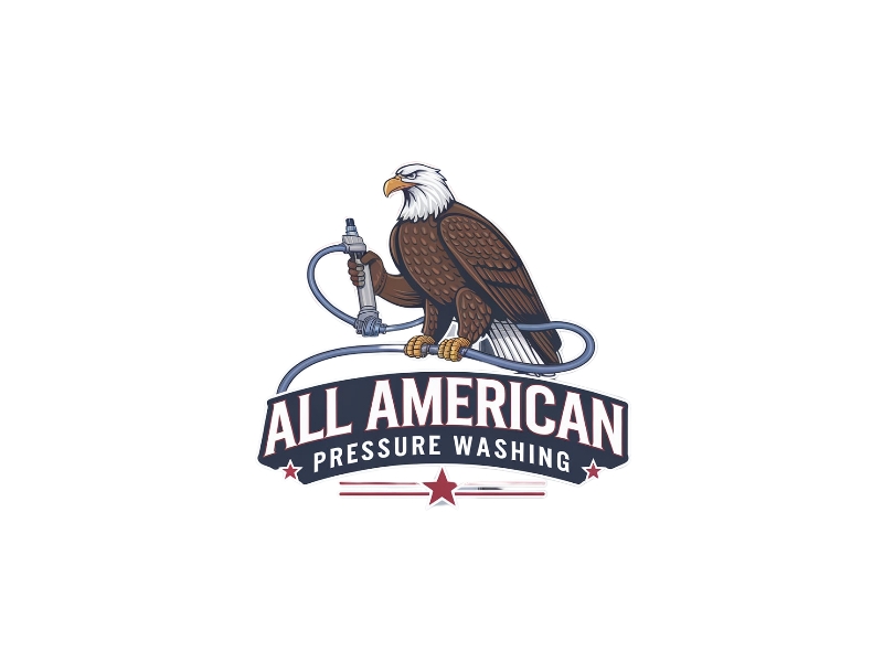 All American Pressure Washing logo design by iffikhan