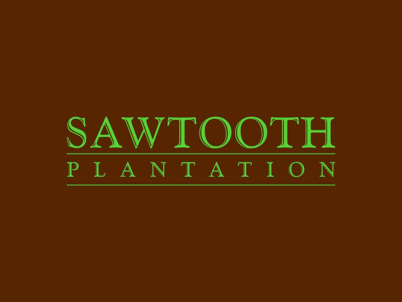 SAWTOOTH PLANTATION logo design by ndaru