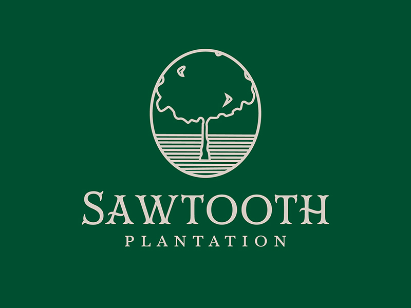 SAWTOOTH PLANTATION logo design by VhienceFX