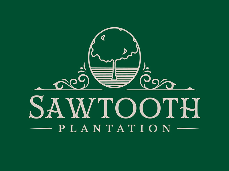 SAWTOOTH PLANTATION logo design by VhienceFX