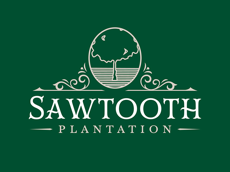 SAWTOOTH PLANTATION logo design by VhienceFX