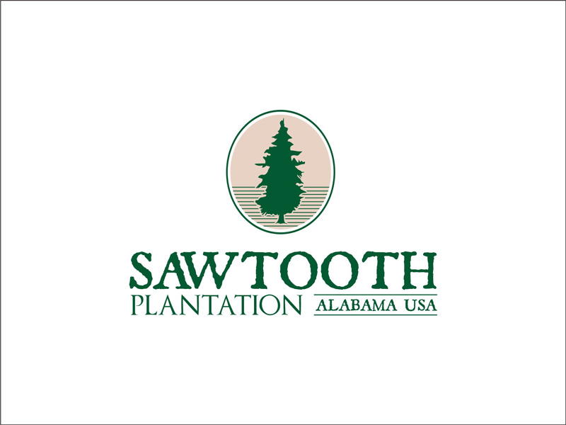 SAWTOOTH PLANTATION logo design by ATTACK