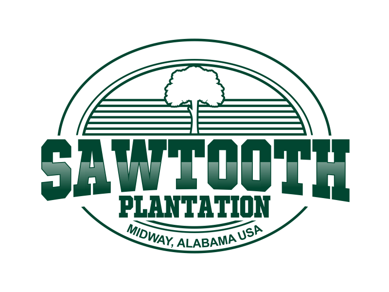 SAWTOOTH PLANTATION logo design by Yulioart