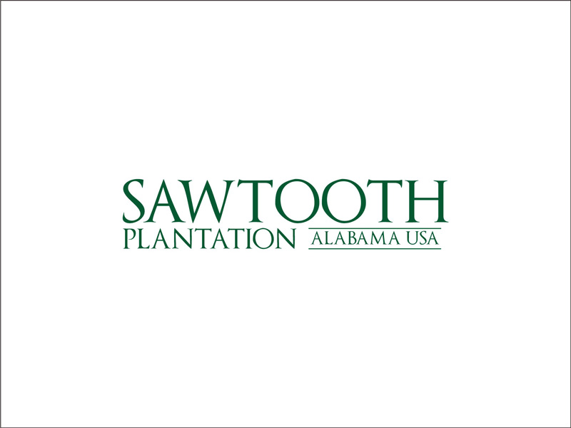 SAWTOOTH PLANTATION logo design by ATTACK