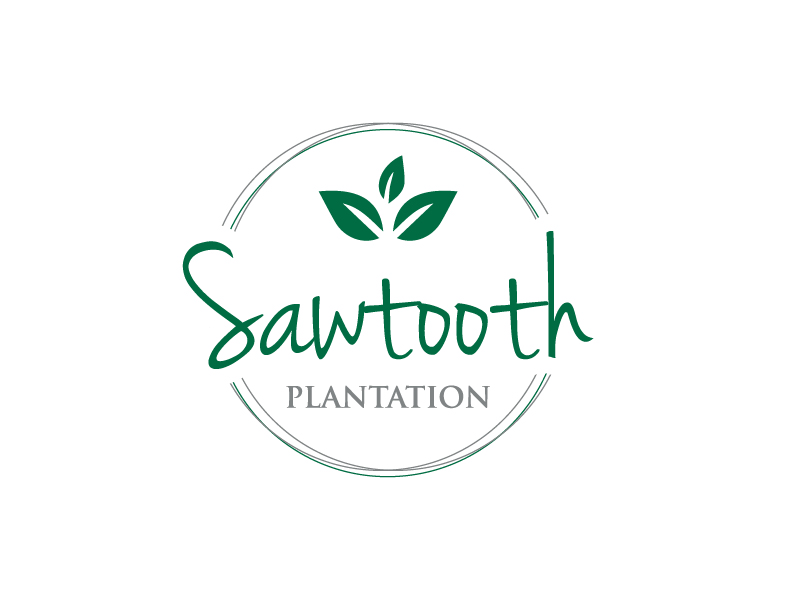 SAWTOOTH PLANTATION logo design by Creativeminds