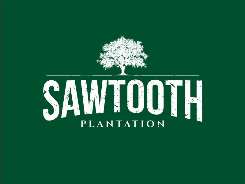 SAWTOOTH PLANTATION logo design by Girly