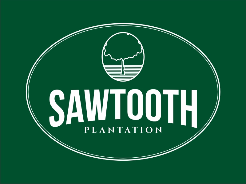 SAWTOOTH PLANTATION logo design by Girly