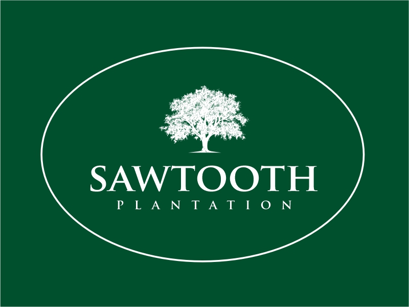 SAWTOOTH PLANTATION logo design by Girly