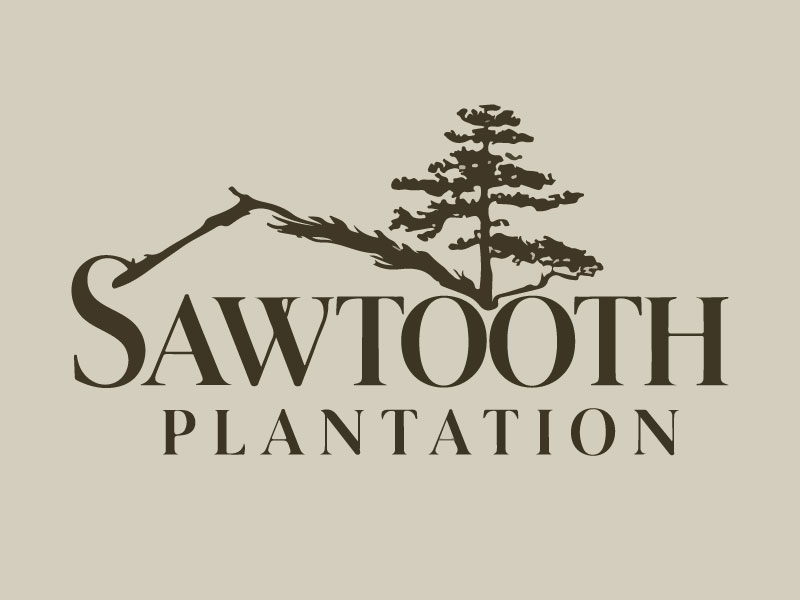 SAWTOOTH PLANTATION logo design by Crushboysourav