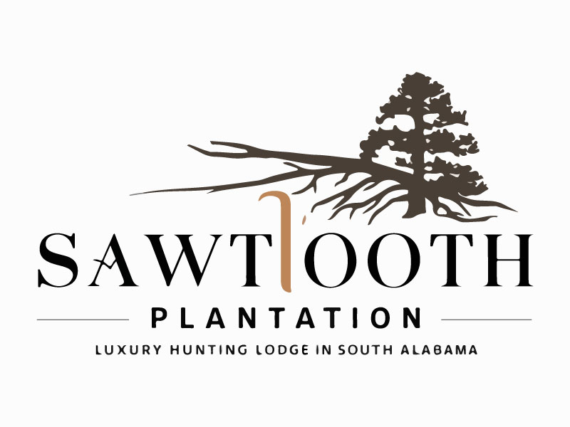 SAWTOOTH PLANTATION logo design by Crushboysourav