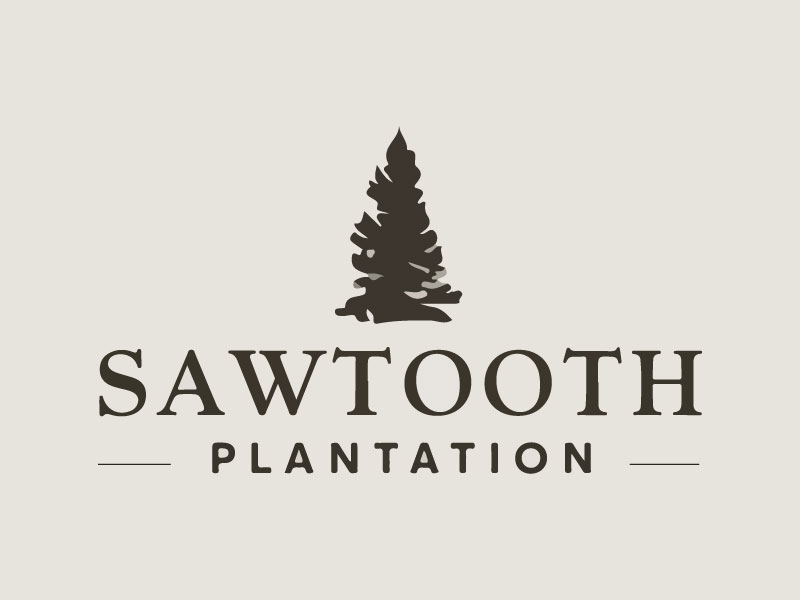 SAWTOOTH PLANTATION logo design by Crushboysourav