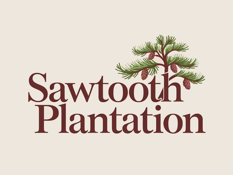 SAWTOOTH PLANTATION logo design by jandu