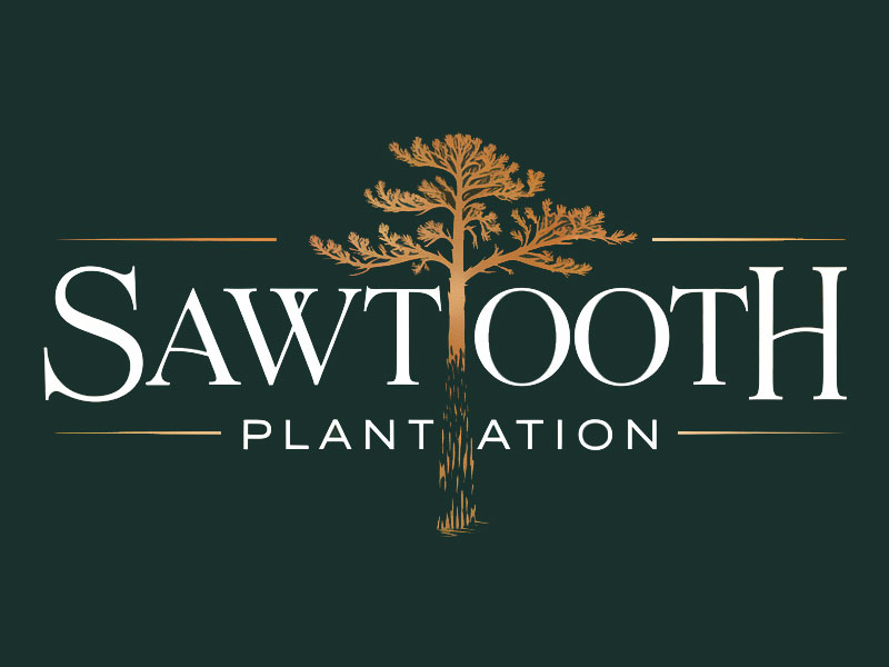 SAWTOOTH PLANTATION logo design by jandu