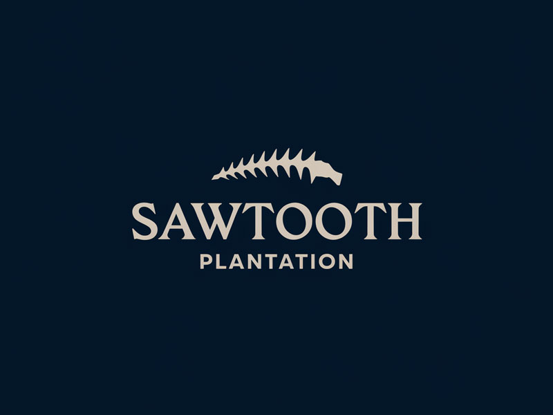 SAWTOOTH PLANTATION logo design by jandu