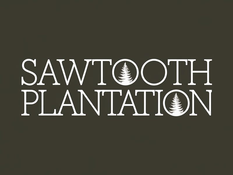 SAWTOOTH PLANTATION logo design by jandu