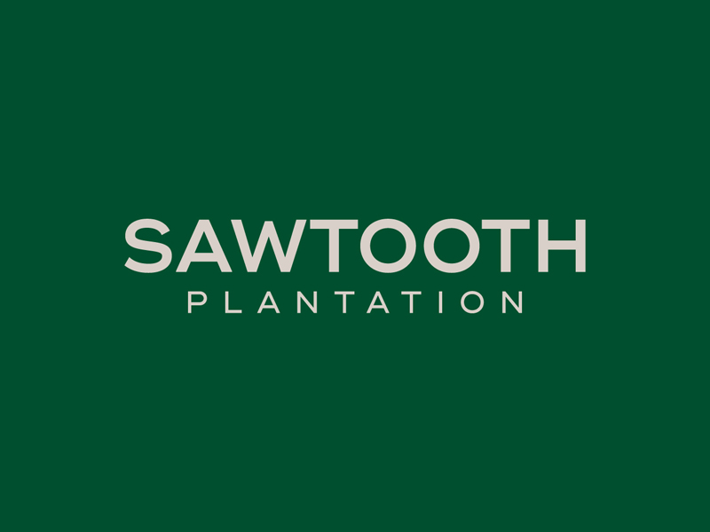 SAWTOOTH PLANTATION logo design by Abril