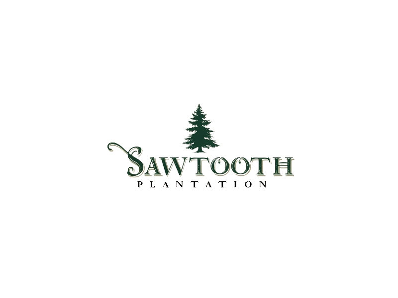 SAWTOOTH PLANTATION logo design by iffikhan