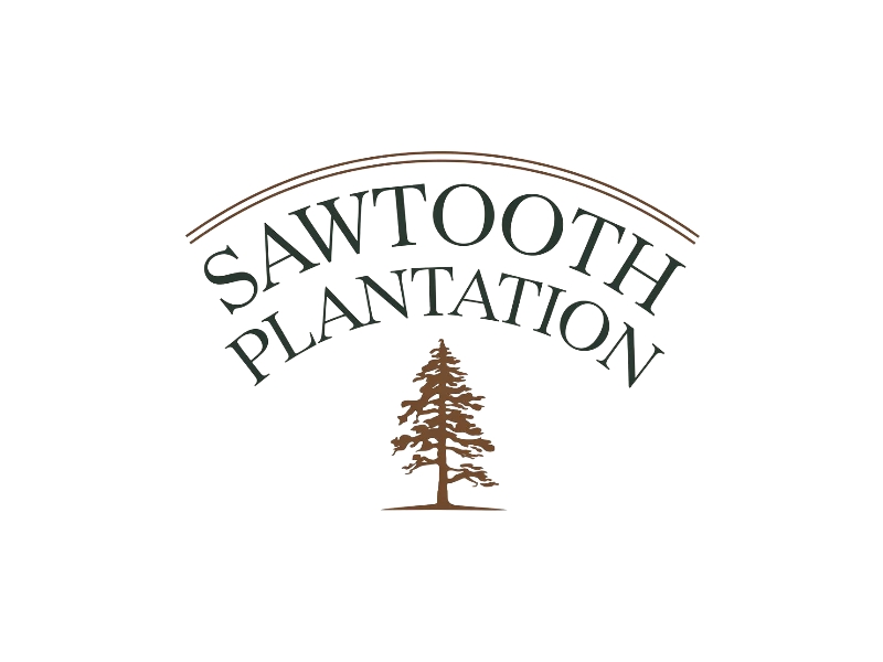 SAWTOOTH PLANTATION logo design by iffikhan