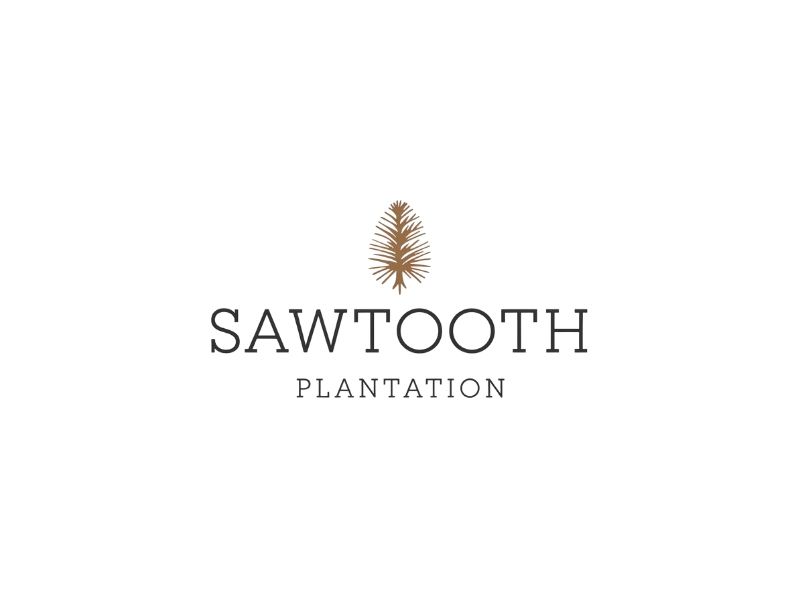 SAWTOOTH PLANTATION logo design by iffikhan