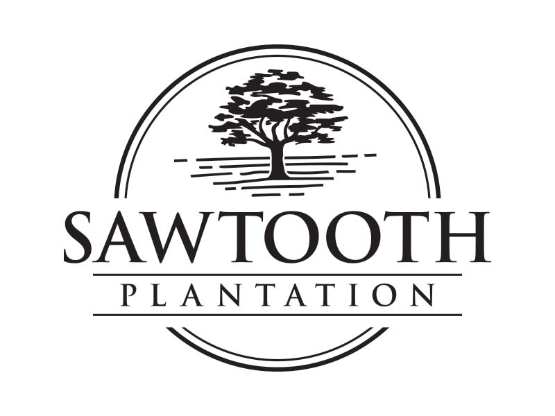 SAWTOOTH PLANTATION logo design by vinve