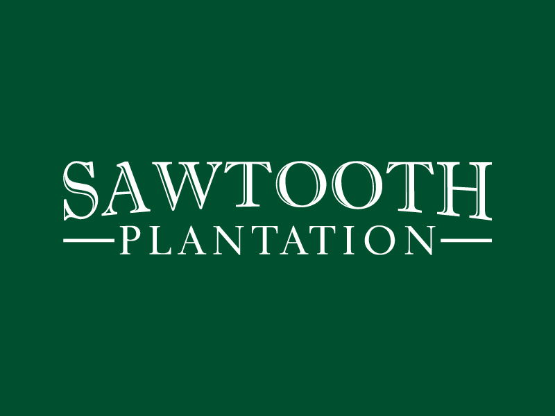 SAWTOOTH PLANTATION logo design by yans