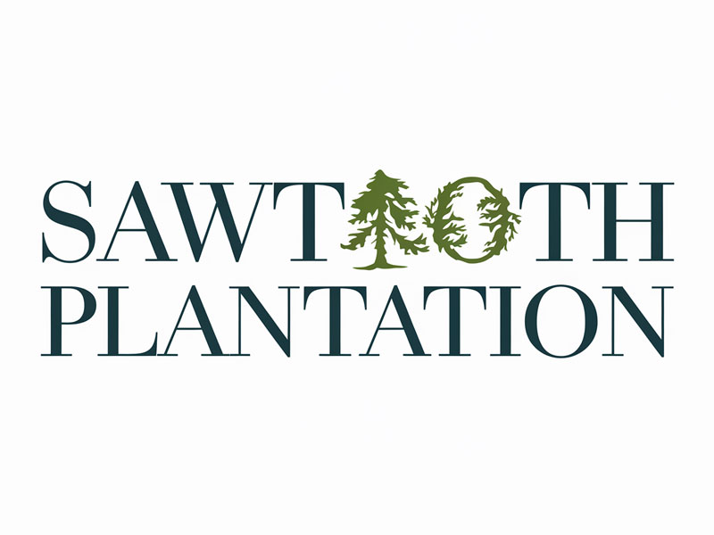 SAWTOOTH PLANTATION logo design by navneet