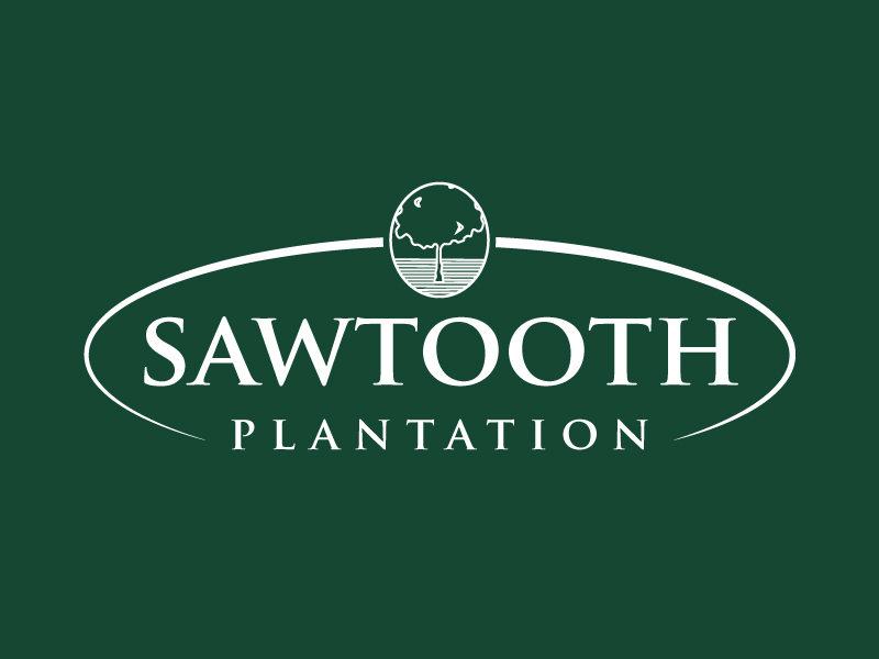 SAWTOOTH PLANTATION logo design by PRN123