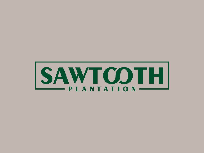 SAWTOOTH PLANTATION logo design by Snapp