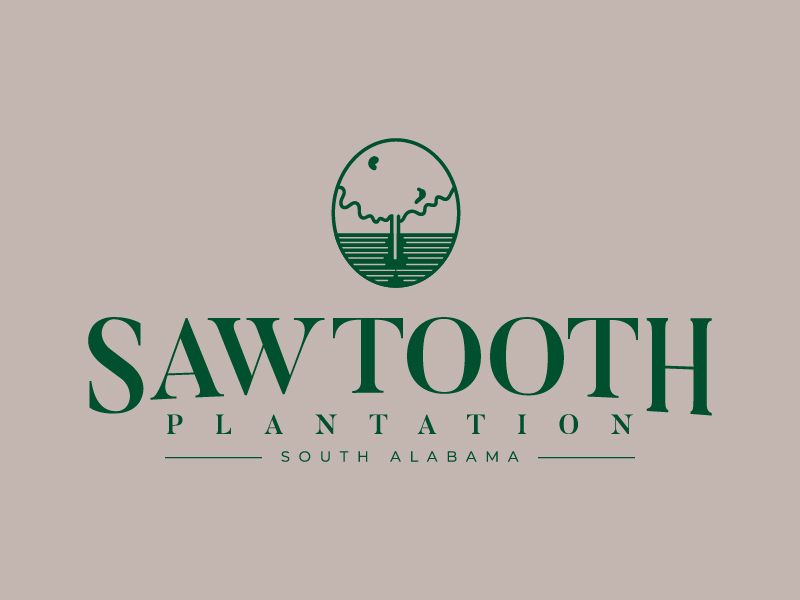 SAWTOOTH PLANTATION logo design by MUSANG