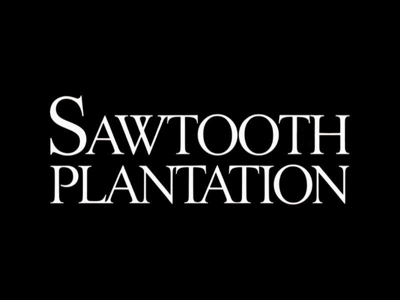 SAWTOOTH PLANTATION logo design by Charii