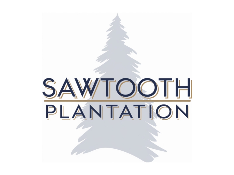 SAWTOOTH PLANTATION logo design by Charii