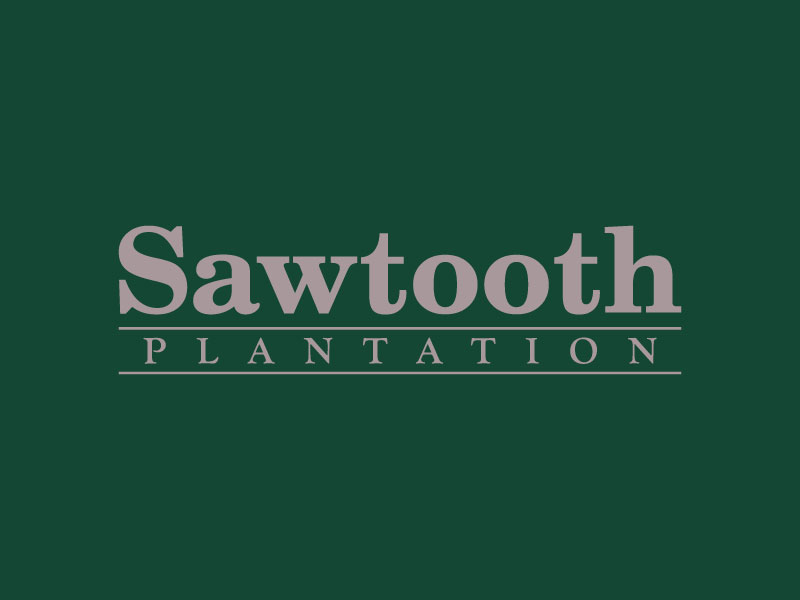 SAWTOOTH PLANTATION logo design by denfransko