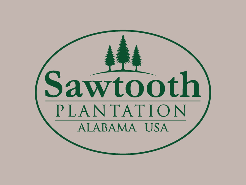 SAWTOOTH PLANTATION logo design by wriddhi