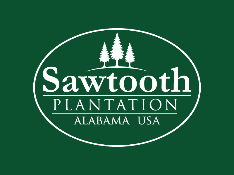 SAWTOOTH PLANTATION logo design by wriddhi