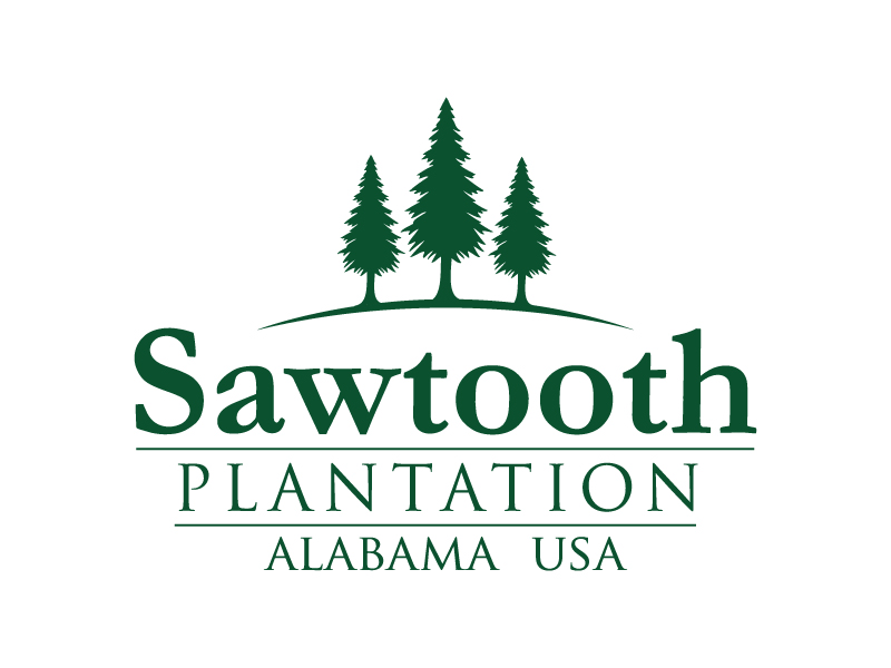 SAWTOOTH PLANTATION logo design by wriddhi