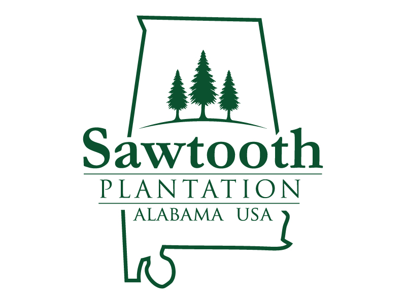 SAWTOOTH PLANTATION logo design by wriddhi