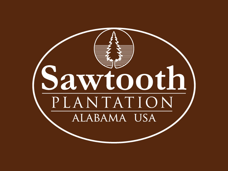 SAWTOOTH PLANTATION logo design by wriddhi