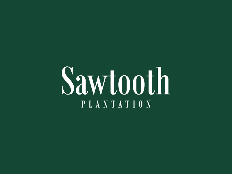 SAWTOOTH PLANTATION logo design by yoppunx