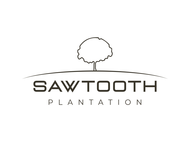 SAWTOOTH PLANTATION logo design by MariusCC